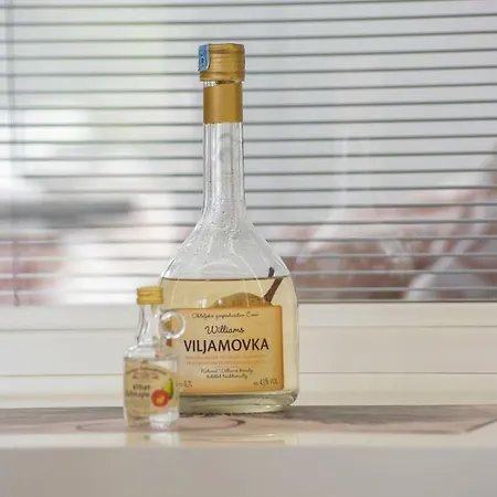 Apartament Luxury Novigrad *