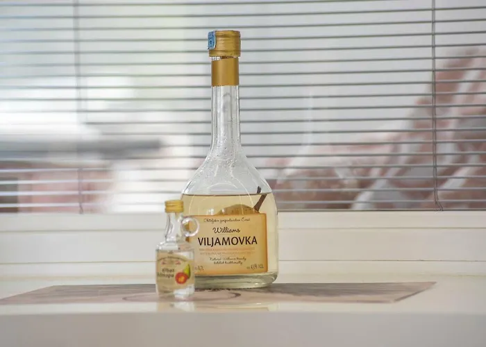 Apartamento Luxury Novigrad *