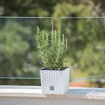 Luxury Novigrad